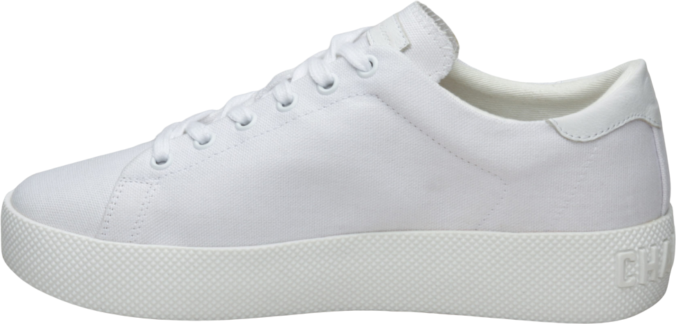 Champion Low Cut Era Canvas White