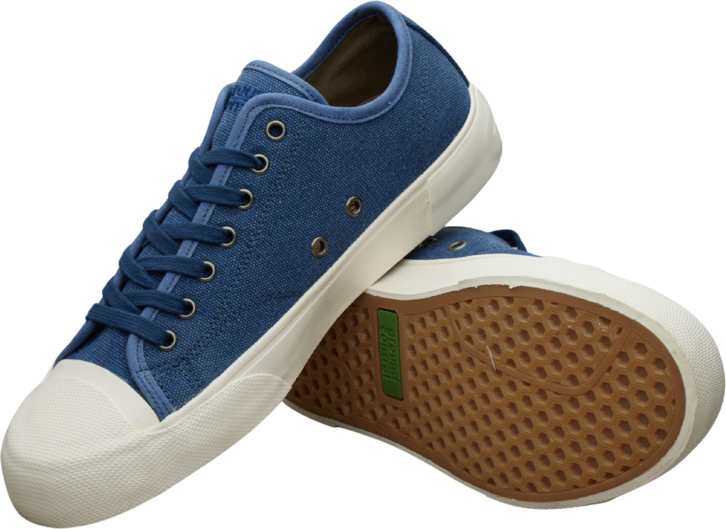 Ground Control Washington Canvas Blue