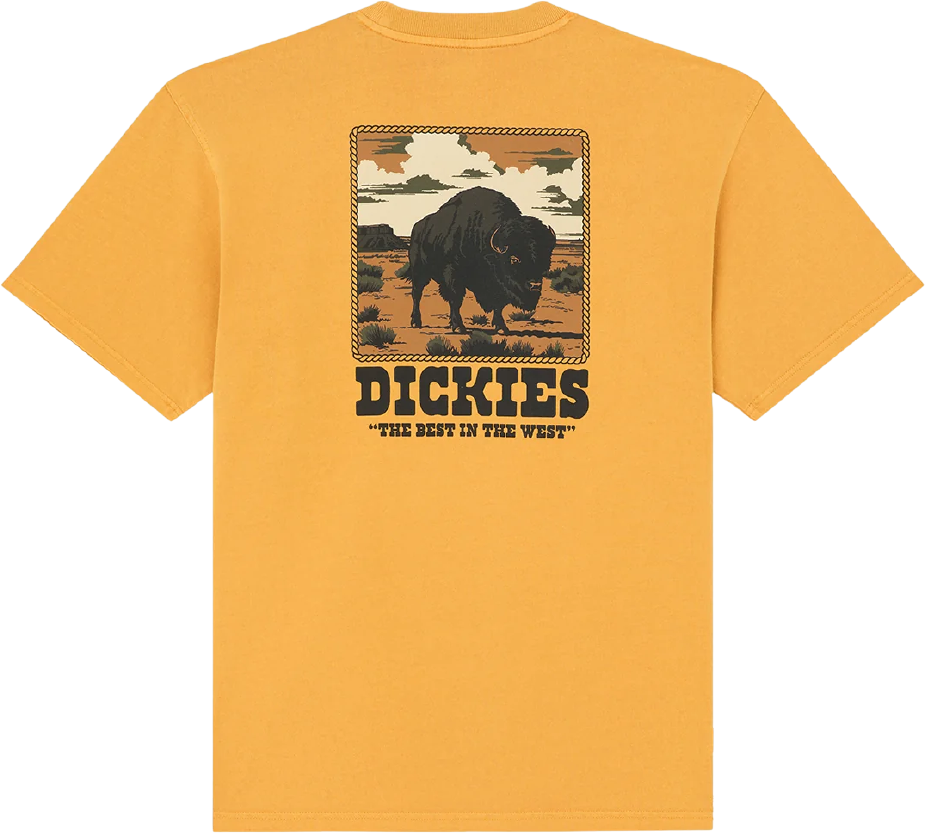 Dickies Darrtown S/S Tee Sunflower