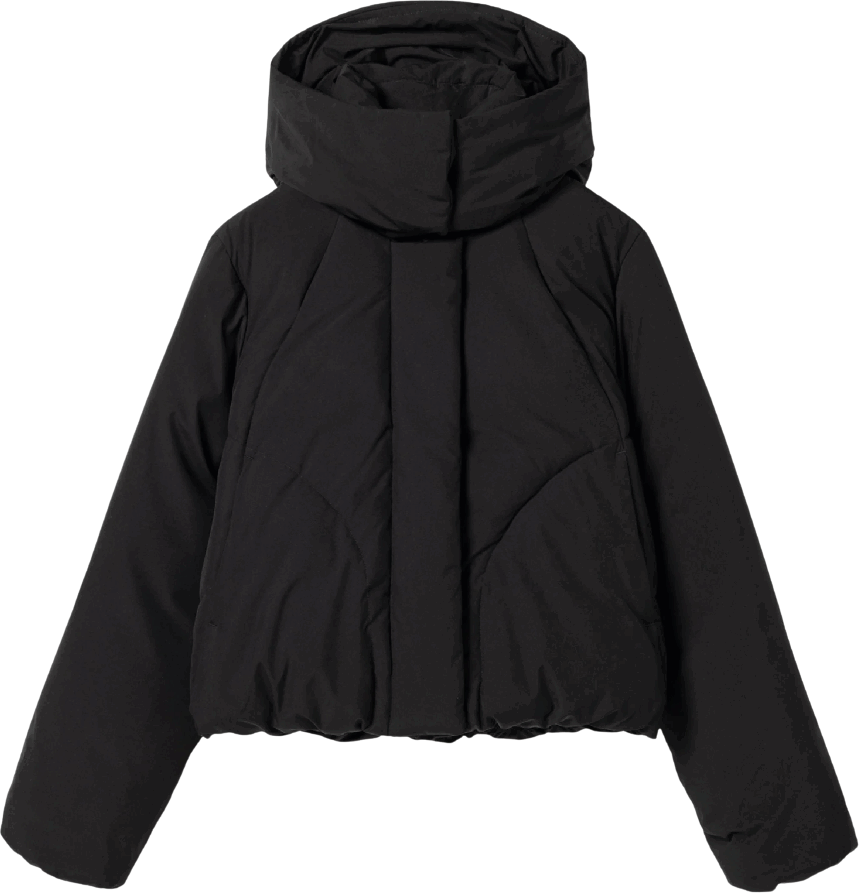 Elvine Annabelle Black